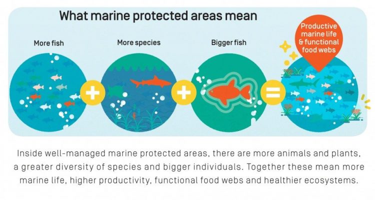 What would increasing marine protected areas mean for fishing?